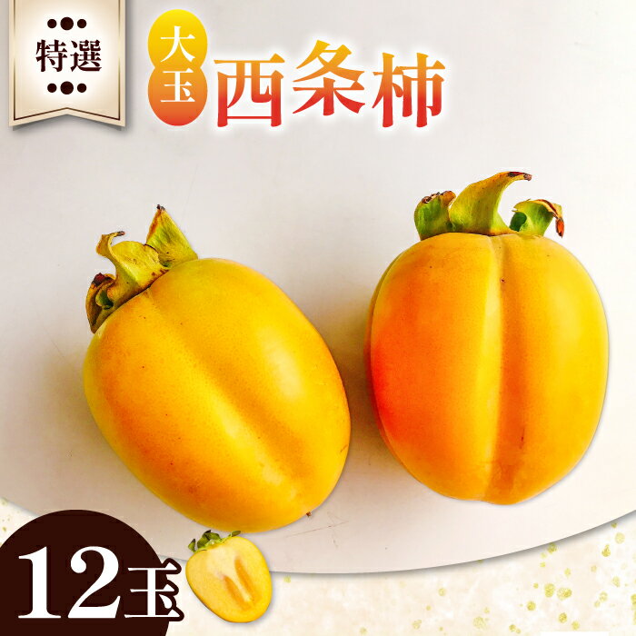 【ふるさと納税】 先行予約 西条柿 12玉 大玉 3L 特選 果物 フルーツ かき 甘い 季節限定 期間限定 早期予約 10月下旬〜11月上旬発送 特産品 お取り寄せ グルメ