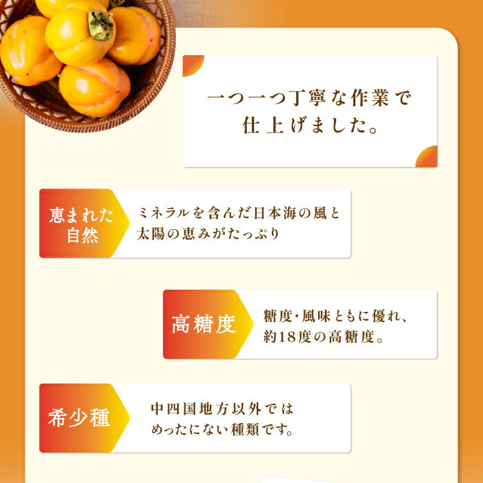 【ふるさと納税】 先行予約 西条柿 12玉 大玉 3L 特選 果物 フルーツ かき 甘い 季節限定 期間限定 早期予約 10月下旬〜11月上旬発送 特産品 お取り寄せ グルメ