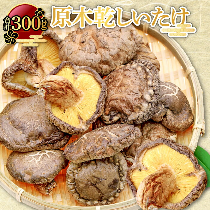 4位! 口コミ数「0件」評価「0」 くぬぎ原木 乾しいたけ 50g×6袋 合計300g 野菜 きのこ キノコ 椎茸 原木乾燥しいたけ 無農薬 煮物 鍋 出し汁 特産品 お取り･･･ 