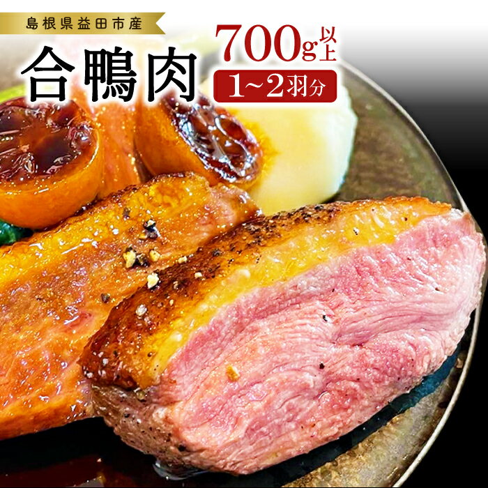 【ふるさと納税】 合鴨肉 1〜2羽分 700g以上 冷凍 むね肉 もも肉 ささみ ブロック肉 鴨肉 鴨 カモ 鴨焼..