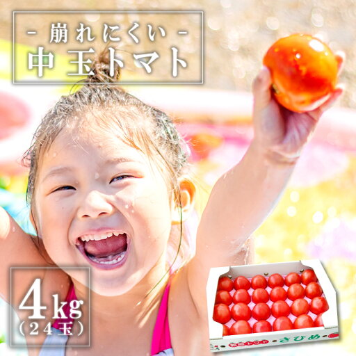 【ふるさと納税】 熟感トマト 4kg 24玉 野菜 桃太郎トマト 桃太郎ヨーク 中玉 さひめ パスタ 煮込み 炒め物 9月〜3月発送 特産品 お取り寄せ グルメ 【ふるさと納税】 熟感トマト 4kg 24玉 野菜 桃太郎トマト 桃太郎ヨーク 中玉 さひめ パスタ 煮込み 炒め物 9月〜3月発送 特産品 お取り寄せ グルメ