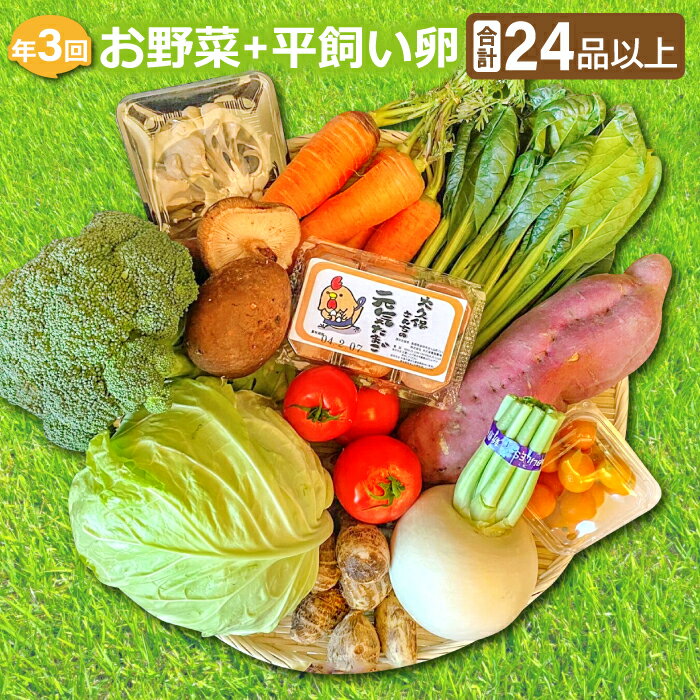 46位! 口コミ数「0件」評価「0」 【定期便】季節のお野菜 8〜10品 平飼い卵 6個 詰め合わせ セット 野菜 減農薬 減化学肥料 やさい 旬の野菜 野菜セット 季節の野菜･･･ 