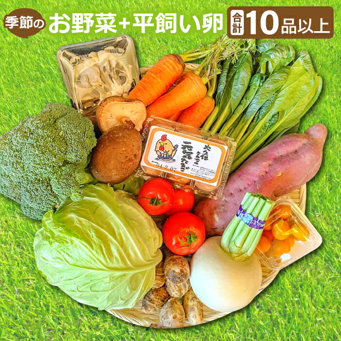 3位! 口コミ数「0件」評価「0」 季節のお野菜 10〜12品 平飼い卵 10個 詰め合わせ セット 野菜 減農薬 減化学肥料 キャベツ 小松菜 高菜 里芋 大根 人参 エリ･･･ 