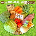 【ふるさと納税】 季節のお野菜 10~12品 平飼い卵 10個 詰め合わせ セット 野菜 減農薬 減化学肥料 キャベツ 小松菜 高菜 里芋 大根 人参 エリンギ 椎茸 トマト きゅうり ナス たまご 破損保証 4個 特産品 お取り寄せ グルメ