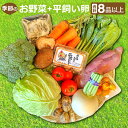 29位! 口コミ数「2件」評価「3」 季節のお野菜 8〜10品 平飼い卵 6個 詰め合わせ セット 野菜 減農薬 減化学肥料 キャベツ 小松菜 高菜 里芋 大根 人参 エリンギ･･･ 