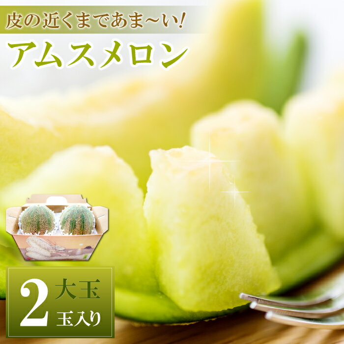 【ふるさと納税】 期間限定 アムスメロン 大玉 2玉入り 先行予約 数量限定 季節限定 早期予約 予約 メロン 果物 フルーツ 糖度14度以上 6月発送のサムネイル