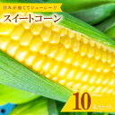 味来コーンは、生でも食べることができ、甘みが強くジューシーなとうもろこしです。 朝採れのとうもろこしをその日に、保冷剤を入れた状態で発送いたします。 ◆こだわりポイント 1株から1本収穫することで、しっかり実のつまった甘くて美味しいとうもろこしになります。 ◆食べ方やレシピ 薄皮1枚を残したとうもろこしを1本、耐熱皿に載せレンジで500w4分程度加熱すると、簡単に蒸しとうもろこしが完成します。（時間は目安であり、とうもろこしのサイズやお好みに合わせて調節してください。） ◆生産者の想い 地元で密かに愛されている、とうもろこしです。 ＝＝＝＝＝＝＝＝＝＝ 【ご注意】 商品到着後、冷蔵庫にて保管をお願いいたします。とうもろこしの鮮度は、時間とともに糖度が落ちるため、到着後できるだけ早く蒸すのが極上のとうもろこしを味合うコツです。 【内容量】 味来コーン　10本 【原材料】 味来コーン 【賞味期限】 冷蔵保存で3日程度（お早めにお召し上がりください） 【アレルギー】 特定原材料7品目および特定原材料に準ずる21品目は使用していません 【原産地】 島根県益田市 【発送期日】 季節限定：6月中旬〜6月下旬 ※6月中旬以降よりお申込み順に順次発送いたします。 ※天候や収穫状況により、出荷の時期が前後する場合がございます。 【発送方法】 常温 【申込期日】 2024年6月15日まで 【事業者】 真庭農園 ・ふるさと納税よくある質問はこちら ・寄付申込みのキャンセル、返礼品の変更・返品はできません。あらかじめご了承ください。 ≪関連キーワード≫ 季節限定 味来コーン 10本入り 朝採れ とうもろこし みらいコーン 先行予約 期間限定 数量限定 早期予約 予約 野菜 やさい 夏野菜 夏やさい 蒸しとうもろこし 焼きとうもろこし トウモロコシ 御褒美 贅沢 ご褒美 お土産 プレゼント 贈り物「ふるさと納税」寄付金は、下記の事業を推進する資金として活用してまいります。 寄付を希望される皆さまの想いでお選びください。 1.歴史・文化的資源の保存及び活用に関する事業 2.自然環境の保全及び地域景観の維持・再生に関する事業 3.子育て支援、青少年の健全育成及び教育の振興に関する事業 4.地域の振興及び産業の振興に関する事業 5.高齢者の生活支援及び地域医療の支援に関する事業 6.安全・安心なまちづくりに関する事業 7.前各項目に掲げる事業その他市長が必要と認める事業 特段のご希望がないものについては、その他市長が必要と認める事業に活用させていただきます。 入金確認後、注文内容確認画面の【注文者情報】に記載の住所にお送りいたします。 発送の時期は、寄付確認後30日以内を目途に、お礼の特産品とは別にお送りいたします。