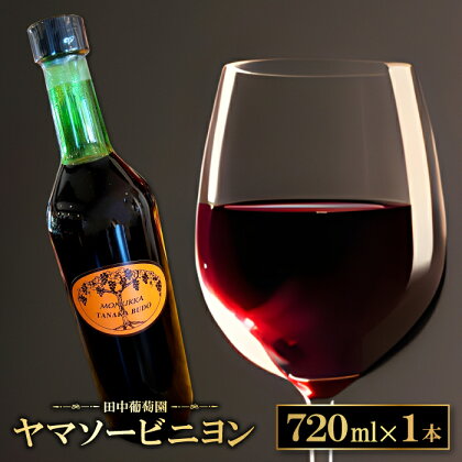 ドメーヌワイン ヤマソービニヨン 赤ワイン 720ml 9.0% 1本 酒 ワイン 赤 果物 フルーツ 山ぶどう ぶどう ブドウ 自園自醸 ディナー ギフト 贈答