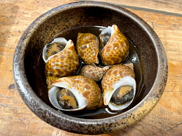 島根県益田市の【ふるさと納税】 新鮮 ばい貝 1kg 魚介類 魚貝類 貝類 バイ貝 日本海 おつまみ 酒の肴 煮付け バター焼き 酒蒸し おかず お弁当 高タンパク 低脂肪 冷蔵 特産品 お取り寄せ グルメ｜アングル3
