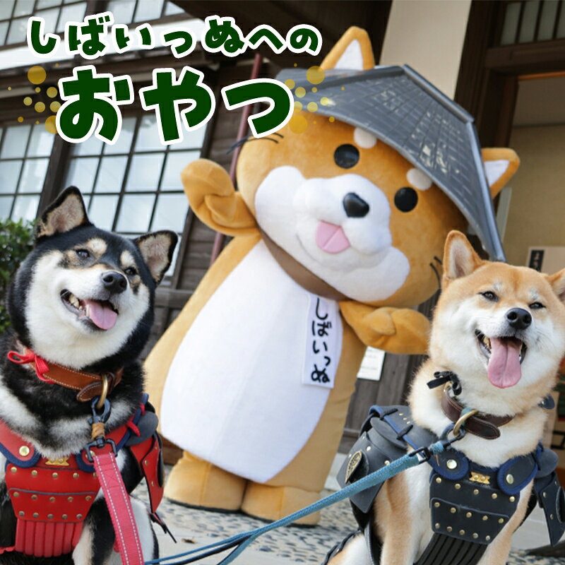 しばいっぬへのおやつ