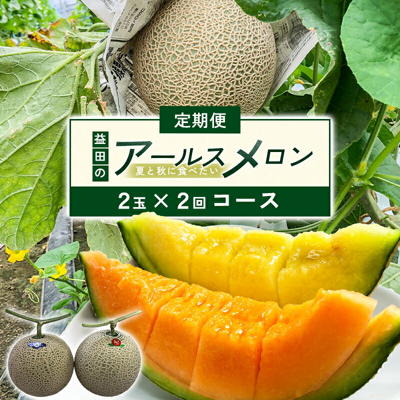 先行予約 アールスメロン 赤肉 青肉 各2玉【2回定期便】果物 フルーツ メロン 季節限定 期間限定 7月10日〜10月30日発送 特産品 お取り寄せ グルメ