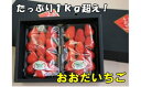 【ふるさと納税】 イチゴ 島根県産 A073 たっぷり1kg...