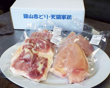 【ふるさと納税】 肉 鶏 鶏肉 地鶏 国産 島根県産 B097 地鶏の銀山赤どり精肉（まるごと2羽分）