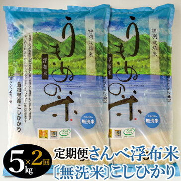 【ふるさと納税】定期便 2回 特別栽培米 さんべ浮布米 コシヒカリ 無洗米 5kg×2回 合計10kg 国産 島根県産 大田市産 米 減化学肥料 減農薬 JGAP認証 ごはん お弁当 おにぎり おむすび 特産品 お取り寄せ グルメ