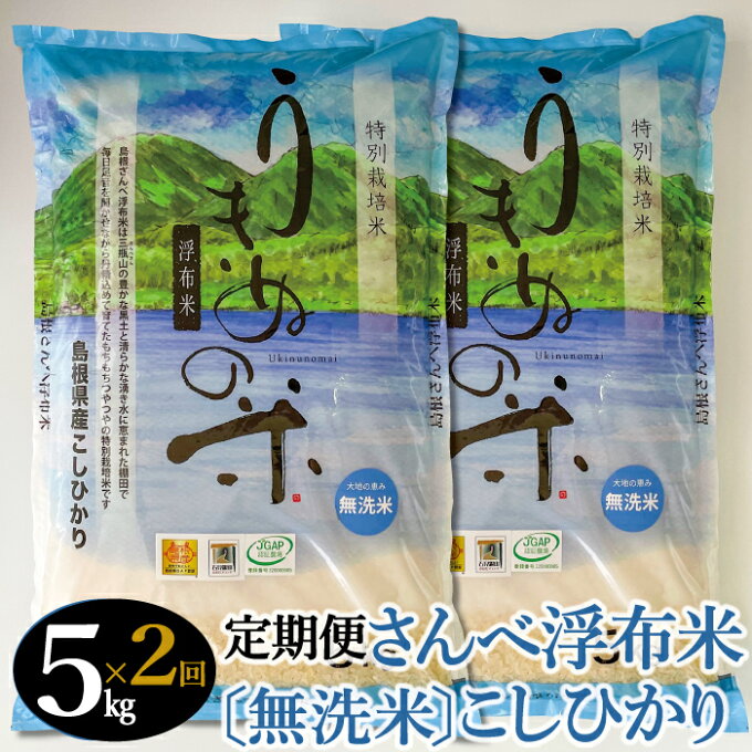 【ふるさと納税】 定期便 2回 令和4年産 新米 特別栽培米 さんべ浮布米 コシヒカリ 令和4年度産 2022年産 無洗米 5kg×2回 合計10kg 国産 島根県産 大田市産 米 減化学肥料 減農薬 JGAP認証 ごはん お弁当 おにぎり おむすび 特産品 お取り寄せ グルメ