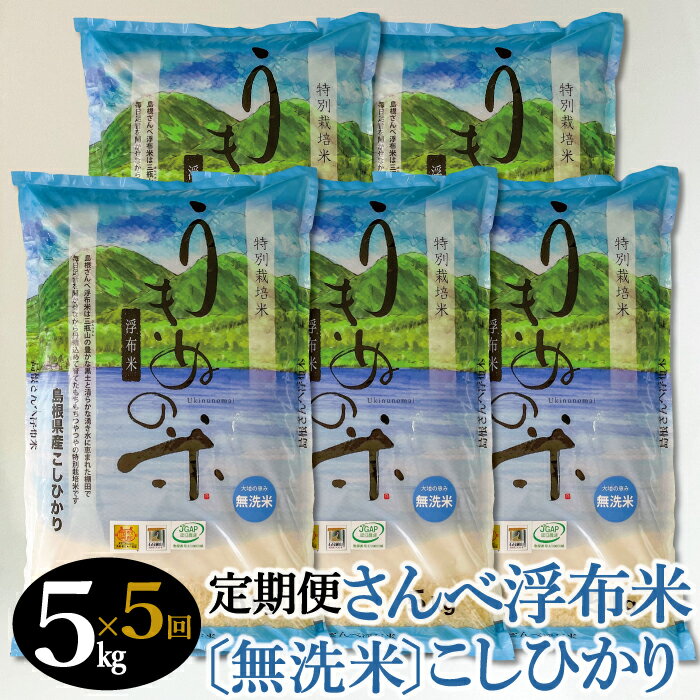 【ふるさと納税】定期便 5回 特別栽培米 さんべ浮布米 コシヒカリ 無洗米 5kg×...