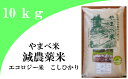 【ふるさと納税】新米 島根 こしひかり B073-1 【精米】減農薬米（こしひかり100％）（令和元年産）　10kg