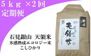 【ふるさと納税】 米 定期 コシヒカリ B209 石見銀山天...
