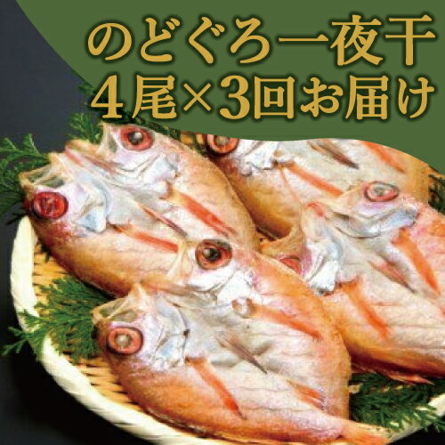【ふるさと納税】D006 のどぐろ一夜干　4尾×3回お届け定期便(N125DF)