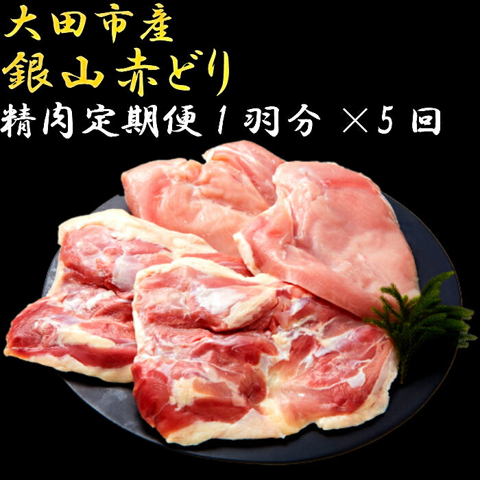 【ふるさと納税】 肉 鶏 定期 鶏肉 地鶏 国産 島根県産 D003 銀山赤どり精肉定期便（1羽分×5回お届け）