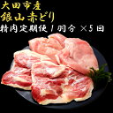 【ふるさと納税】 肉 鶏 定期 鶏肉 地鶏 国産 島根県産 ...