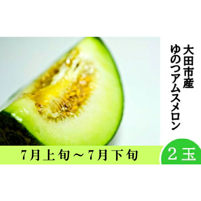 温泉津 アムスメロン 春作 2玉 アムス メロン 4L または 5L (1玉あたり1.2kg〜1.8kg) 夏作 青肉 果物 くだもの フルーツ デザート 島根県 大田市