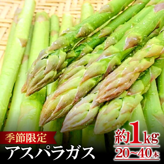 季節限定 アスパラガス アスパラ 約1kg 20本〜40本 期間限定 野菜 アスパラ BBQ 夏野菜 バーベキュー 4月〜9月中旬発送