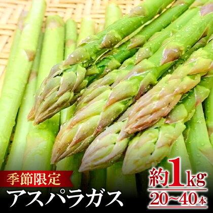 季節限定 アスパラガス アスパラ 約1kg 20本〜40本 期間限定 野菜 アスパラ BBQ 夏野菜 バーベキュー 4月〜9月中旬発送