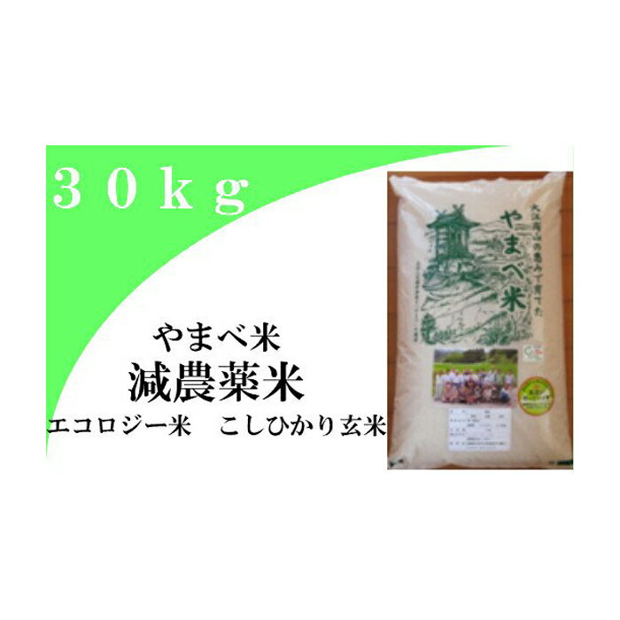 令和5年産 玄米 減農薬米 こしひかり100% 30kg コシヒカリ島根県産 大田市産 米 エコロジー米 令和5年度産 2023年産 エコファーマー認定 減農薬 減化学肥料 ダイエット 健康食 こめ ごはん ご飯 おにぎり おむすび お弁当