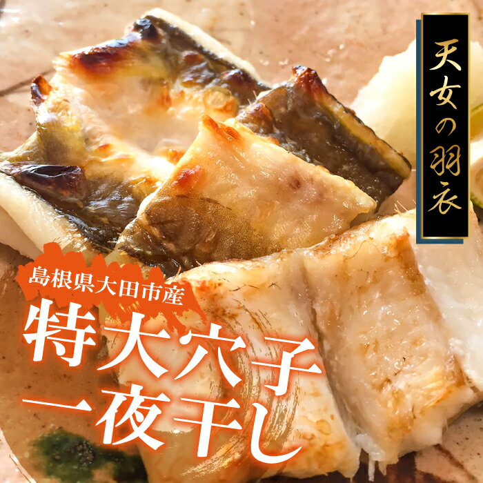 【ふるさと納税】 特大 肉厚 干物 あなご 50cm前後×1尾 一夜干 【5回定期便】 国産 島根県 大田市 魚介類 魚 穴子 真あなご 天ぷら ちらし寿司 蒲焼き かば焼き 素焼き 冷凍 真空 特産品 お取り寄せ グルメ