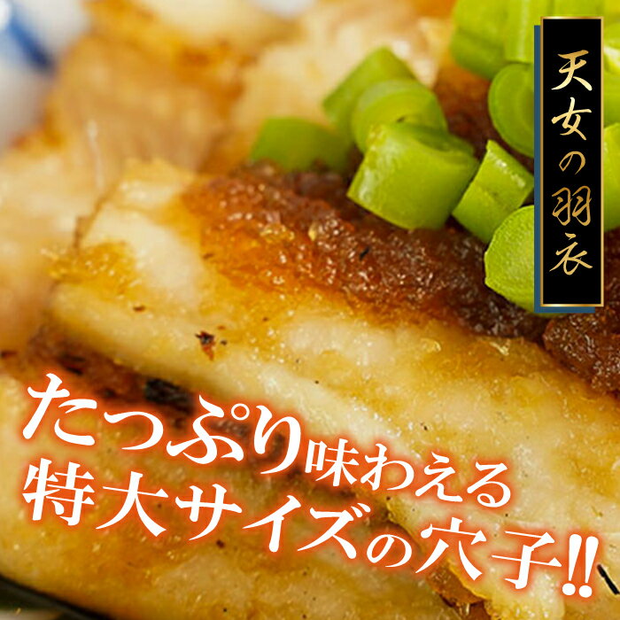 【ふるさと納税】 特大 肉厚 干物 あなご 50cm前後×1尾 一夜干 【5回定期便】 国産 島根県 大田市 魚介類 魚 穴子 真あなご 天ぷら ちらし寿司 蒲焼き かば焼き 素焼き 冷凍 真空 特産品 お取り寄せ グルメ