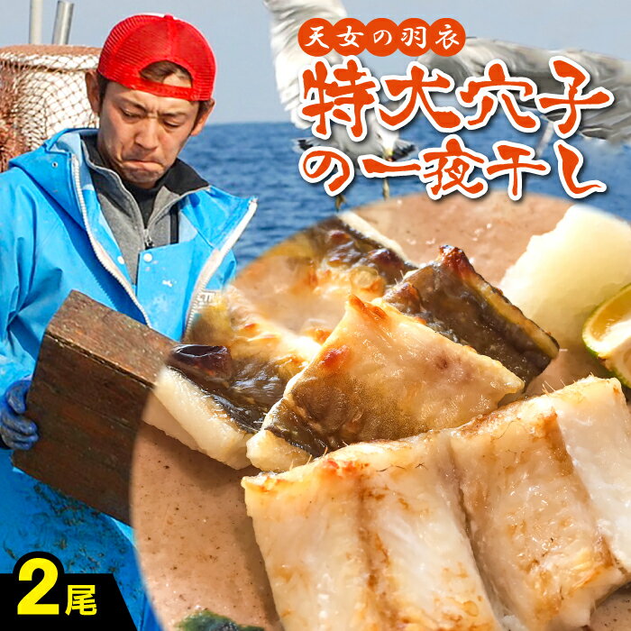 【ふるさと納税】 特大 肉厚 干物 あなご 一夜干 50cm