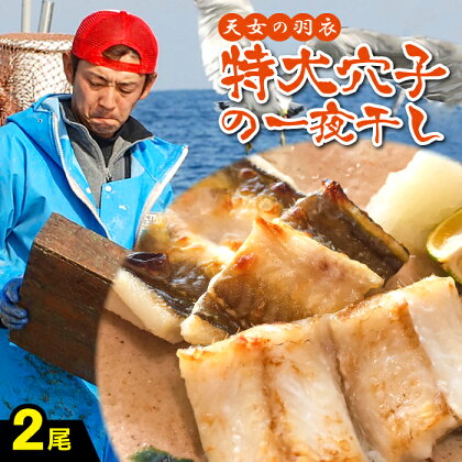 特大 肉厚 干物 あなご 一夜干 50cm前後 2尾 国産 魚介類 魚 穴子 アナゴ 低塩熟成 低塩 うす塩 天日塩 化学調味料不使用 着色料不使用 無添加 天日塩 冷凍 真空 特産品 お取り寄せ グルメ 贈答 ギフト プレゼント 父の日 母の日