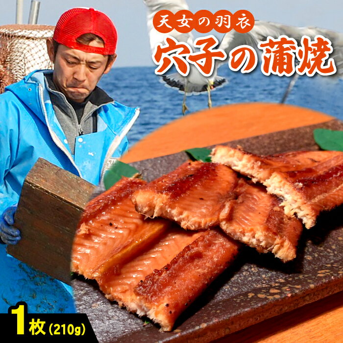 あなご 蒲焼き「天女の羽衣アナゴ」210g×1枚 仕込み醤油 タレ付き 山椒付き 国産 穴子 真あなご 無添加 冷凍 真空 特産品 お取り寄せ グルメ 贈答 お祝い ギフト プレゼント 父の日 母の日