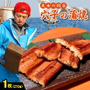 あなごの蒲焼き 【ふるさと納税】 あなご 蒲焼き「天女の羽衣アナゴ」210g×1枚 仕込み醤油 タレ付き 山椒付き 国産 穴子 真あなご 無添加 冷凍 真空 特産品 お取り寄せ グルメ 贈答 お祝い ギフト プレゼント 父の日 母の日