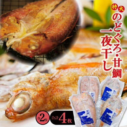 干物 特大 のどぐろ 230g×2枚 甘鯛 325g×2枚 合計4枚 一夜干し 天日塩 国産 人気 魚介類 魚 高級魚 ノドグロ アカムツ 白身魚 トロ 贅沢 素焼き アクアパッツァ 炊き込みご飯 冷凍 真空 産地直送 特産品 お取り寄せ グルメ 贈答 ギフト 父の日 母の日