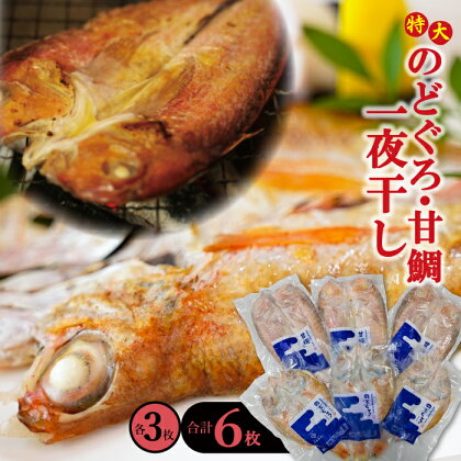 干物 特大 のどぐろ 230g×3枚 甘鯛 325g×3枚 合計6枚 一夜干し 天日塩 国産 人気 魚介類 魚 高級魚 ノドグロ アカムツ 白身魚 トロ 贅沢 素焼き アクアパッツァ 炊き込みご飯 冷凍 真空 産地直送 特産品 お取り寄せ グルメ 贈答 ギフト 父の日 母の日