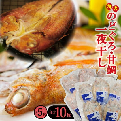 干物 特大 のどぐろ 230g×5枚 甘鯛 325g×5枚 合計10枚 一夜干し 天日塩 国産 人気 魚介類 魚 高級魚 ノドグロ アカムツ 白身魚 トロ 贅沢 素焼き アクアパッツァ 炊き込みご飯 冷凍 真空 産地直送 特産品 お取り寄せ グルメ 贈答 ギフト 父の日 母の日