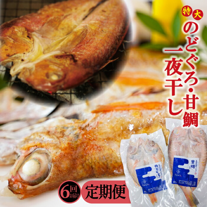 干物 のどぐろ 230g 1枚 甘鯛 325g 1枚 一夜干 [6回定期便] 国産 島根県産 大田市 人気 魚介類 魚 高級魚 ノドグロ アカムツ あまだい 白身魚 トロ 贅沢 冷凍 真空 産地直送 特産品 お取り寄せ グルメ