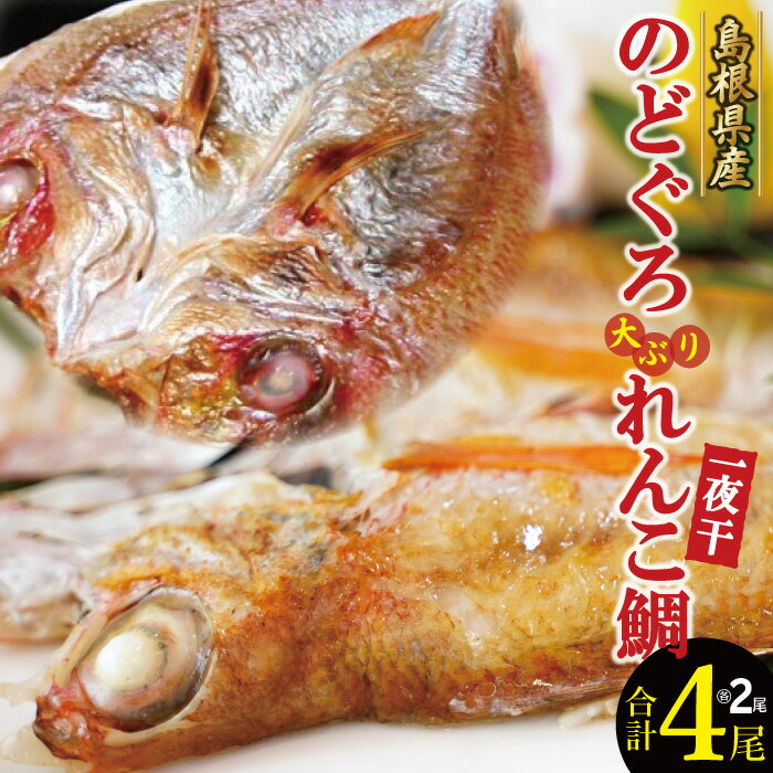 【ふるさと納税】 干物 のどぐろ 71g〜85g×2枚 大ぶり れんこ鯛 161g〜180g×2枚 合計4枚 一夜干し 国産 人気 魚介類 魚 高級魚 ノドグロ アカムツ レンコ鯛 白身魚 トロ 贅沢 素焼き 冷凍 真空 産地直送 特産品 お取り寄せ グルメ 贈答 ギフト プレゼント 父の日 母の日