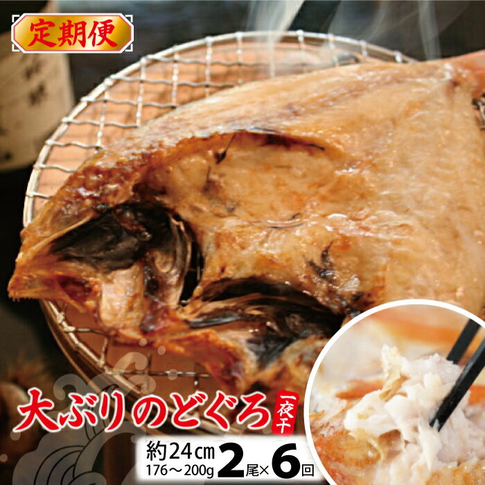 [6回定期便] のどぐろ 干物 2尾 1尾:176g〜200g 約24cm 6回お届け 魚介類 魚貝類 ノドグロ アカムツ 加工品 一夜干し 個包装 真空パック 国産 島根県 大田市 冷凍 特産品 お取り寄せ