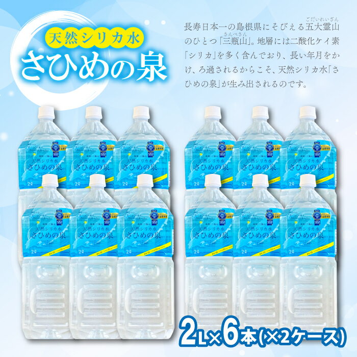 【ふるさと納税】 水 ミネラルウォーター さひめの泉 2L×6本×2ケース 国産 島根県産 大田市 三瓶山 最高品質 天然水 鉱水 軟水 ナチュラルミネラルウォーター シリカ水 シリカ ペットボトル 美容 ミネラル 非常災害備蓄用 非常用 防災グッズ 備蓄 特産品 お取り寄せ