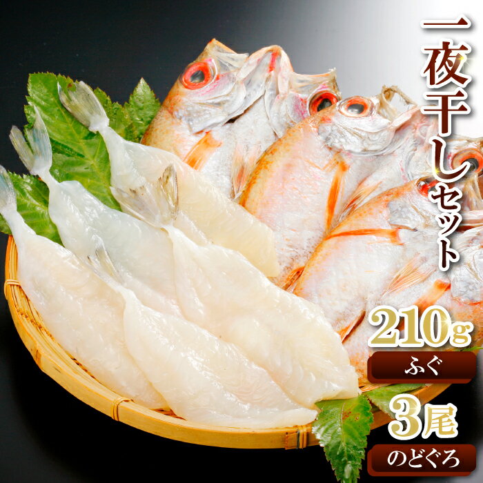 干物 のどぐろ ふぐ 一夜干 フグ 210g 3〜7尾 ノドグロ 3尾 81〜100g 国産 人気 魚介類 魚 高級魚 白身魚 トロ 贅沢 詰め合わせ 冷凍 真空 特産品 お取り寄せ 贈答 ギフト プレゼント 父の日 母の日 グルメ