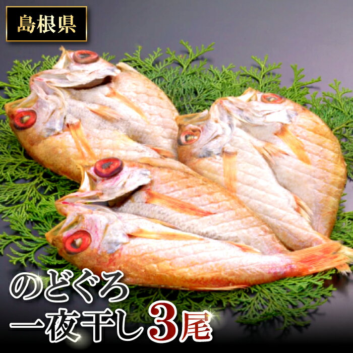 【ふるさと納税】 干物 のどぐろ 3尾 1尾あたり 約160g〜180g　合計約480g〜540g のどぐろ一夜干 島根県 大田市 人気 魚介類 魚 高級魚 ノドグロ アカムツ 白身魚 トロ 贅沢 冷凍 真空 特産品 贈答 ギフト プレゼント 父の日 母の日 お取り寄せ グルメのサムネイル