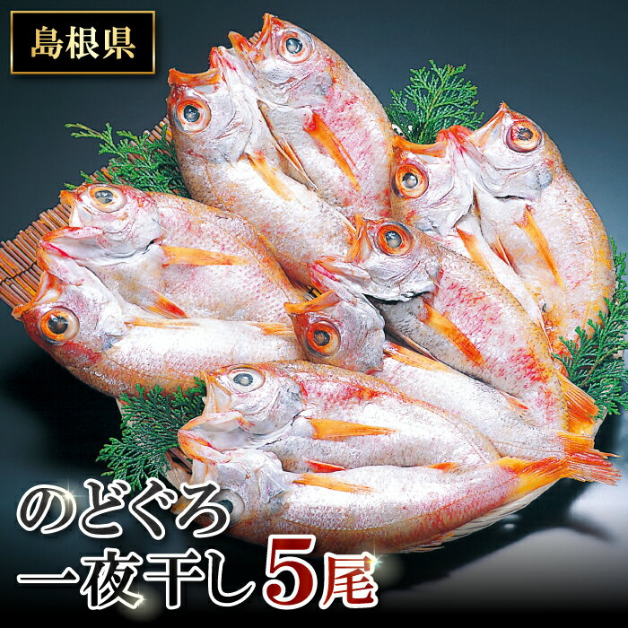 【ふるさと納税】 干物 のどぐろ 5尾 1尾あたり 約121g〜140g のどぐろ一夜干 人気 魚介類 魚 高級魚 ノドグロ アカムツ 白身魚 トロ 贅沢 冷凍 真空 特産品 お取り寄せ 自宅用 家庭用 贈答用 贈答 ギフト プレゼント 父の日 母の日 グルメのサムネイル