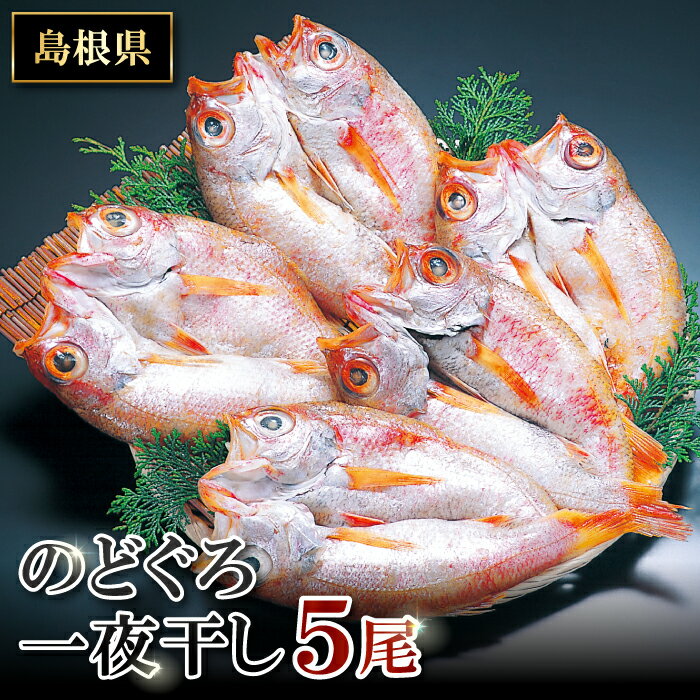 【ふるさと納税】 干物 のどぐろ 5尾 1尾あたり 約61g〜80g のどぐろ一夜干 人気 魚介類 魚 高級魚 ノ...