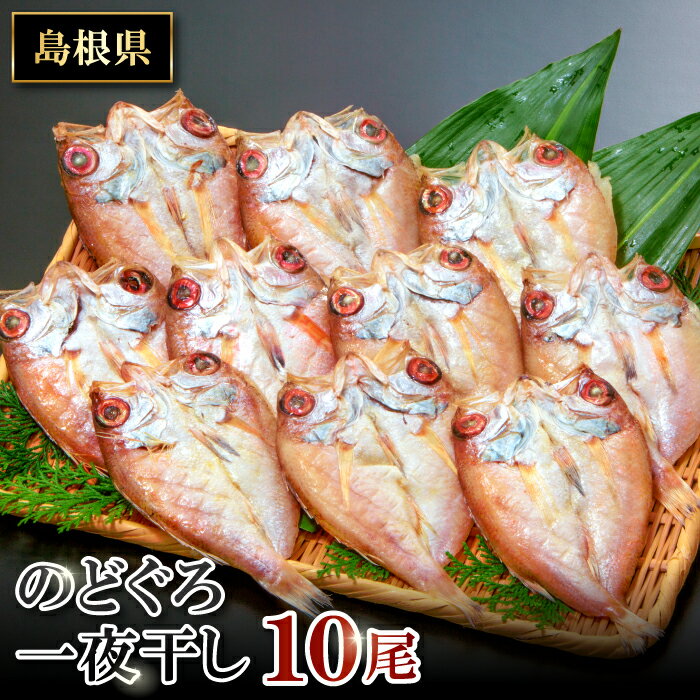 【ふるさと納税】 干物 のどぐろ 10尾 1尾あたり 約60g〜80g　合計約600g〜800g のどぐろ一夜干 人気 魚介類 魚 高級魚 ノドグロ アカムツ 白身魚 トロ 贅沢 冷凍 真空 特産品 お取り寄せ グルメ 父の日 母の日