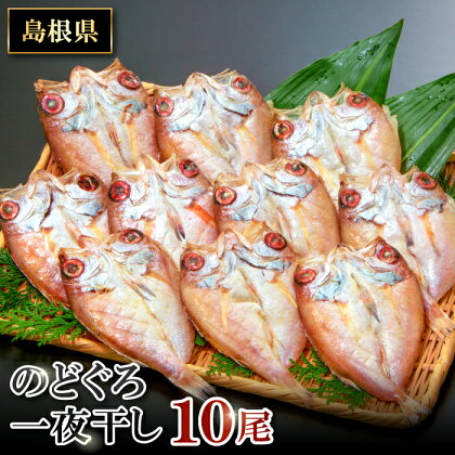 干物 のどぐろ 10尾 1尾あたり 約60g〜80g　合計約600g〜800g のどぐろ一夜干 人気 魚介類 魚 高級魚 ノドグロ アカムツ 白身魚 トロ 贅沢 冷凍 真空 特産品 お取り寄せ グルメ 父の日 母の日