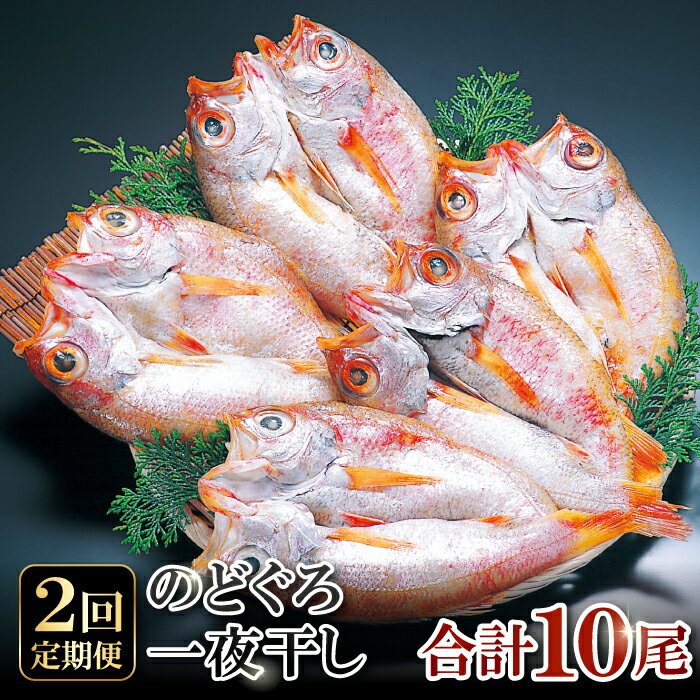 【ふるさと納税】 定期便 のどぐろ 干物 5尾 2回 合計10尾 1尾：141g〜160g 魚介類 魚貝類 ノドグロ 一夜干し のどぐろ干物 新鮮 高級魚 贅沢 冷凍 セット 詰め合わせ 贈答 お歳暮 国産 島根県 大田市