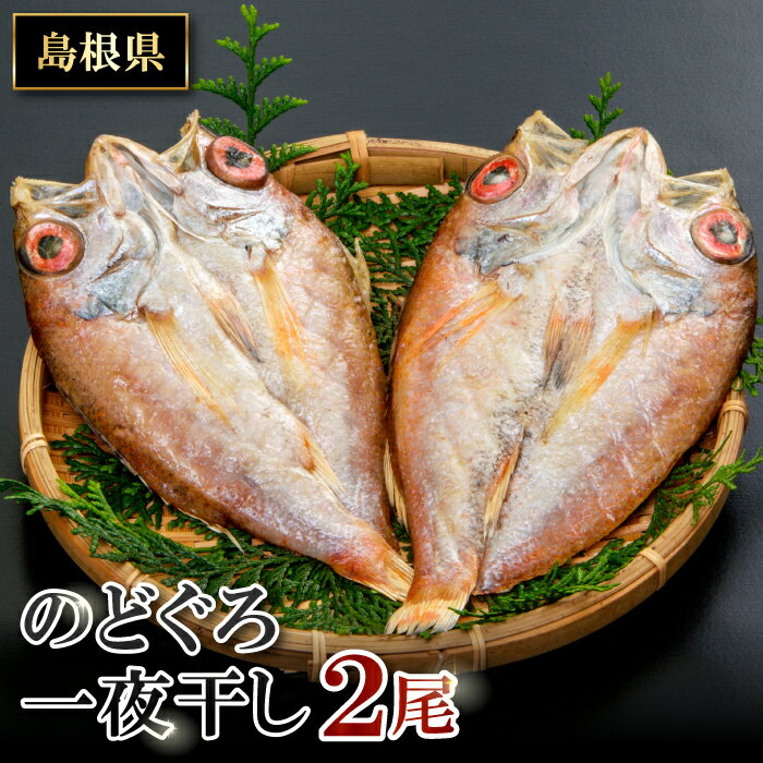 【ふるさと納税】 干物 のどぐろ 一夜干 2尾入り 1尾 約101〜120g 合計約202〜240g 人気 魚介類 魚 高...